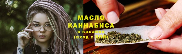 шишки Каменногорск