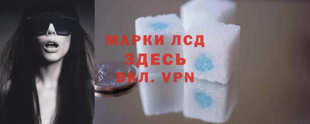 гидра Алексин