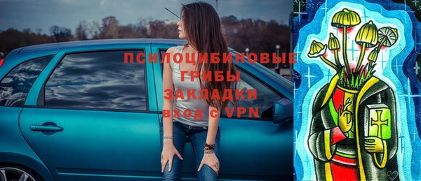 гидра Алексин