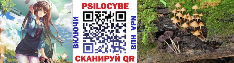 блэк спрут ссылка  Новая Ляля  Галлюциногенные грибы мицелий  закладки 